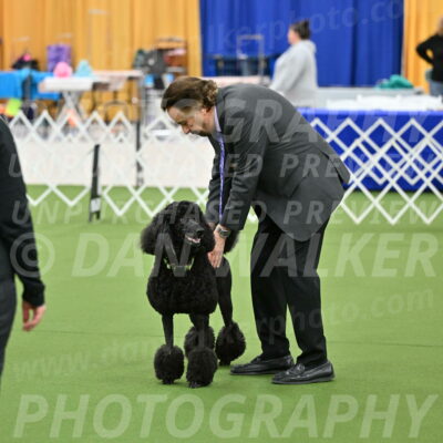 Ring-1-Morning-Obedience_0570