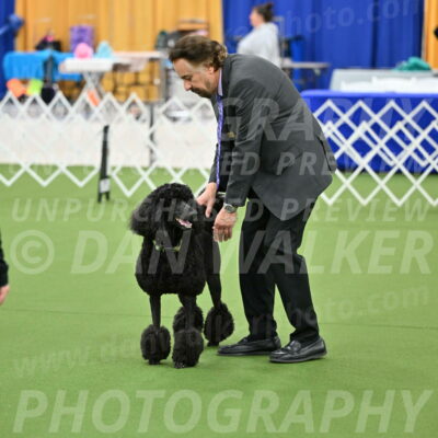 Ring-1-Morning-Obedience_0573