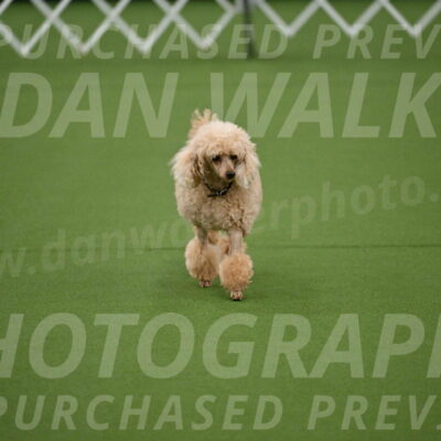 Ring-1-Morning-Obedience_0650