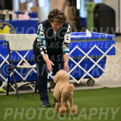 Ring-1-Morning-Obedience_0668