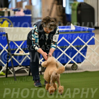 Ring-1-Morning-Obedience_0671