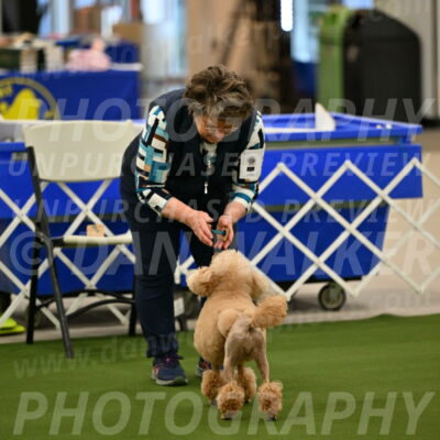 Ring-1-Morning-Obedience_0672