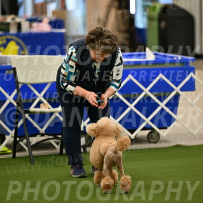 Ring-1-Morning-Obedience_0673