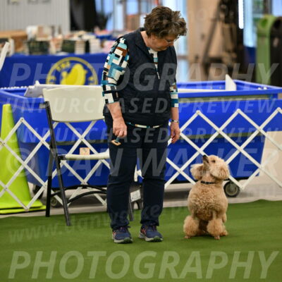 Ring-1-Morning-Obedience_0677