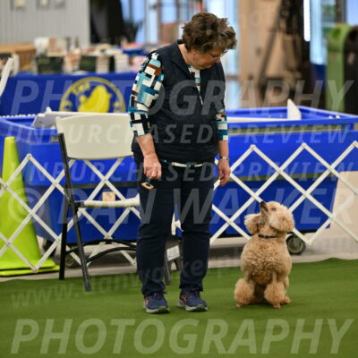 Ring-1-Morning-Obedience_0679