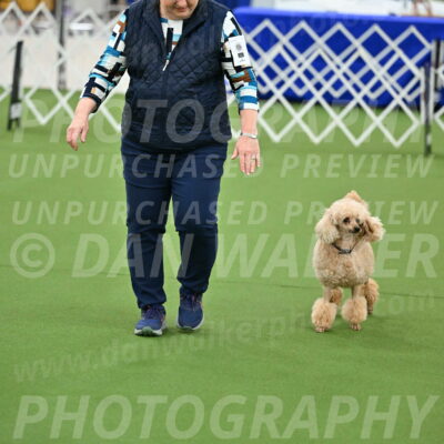 Ring-1-Morning-Obedience_0712