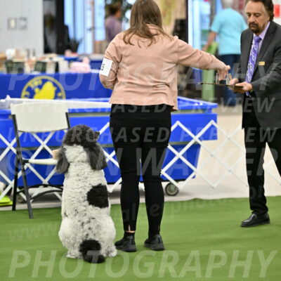 Ring-1-Morning-Obedience_0834