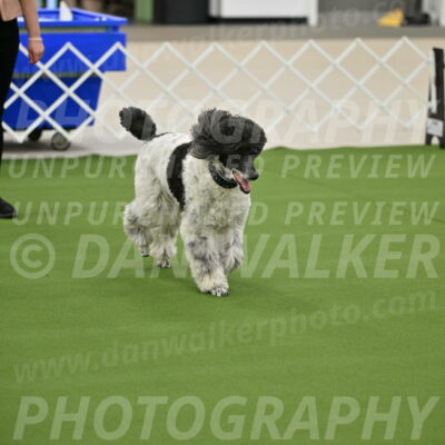 Ring-1-Morning-Obedience_0836