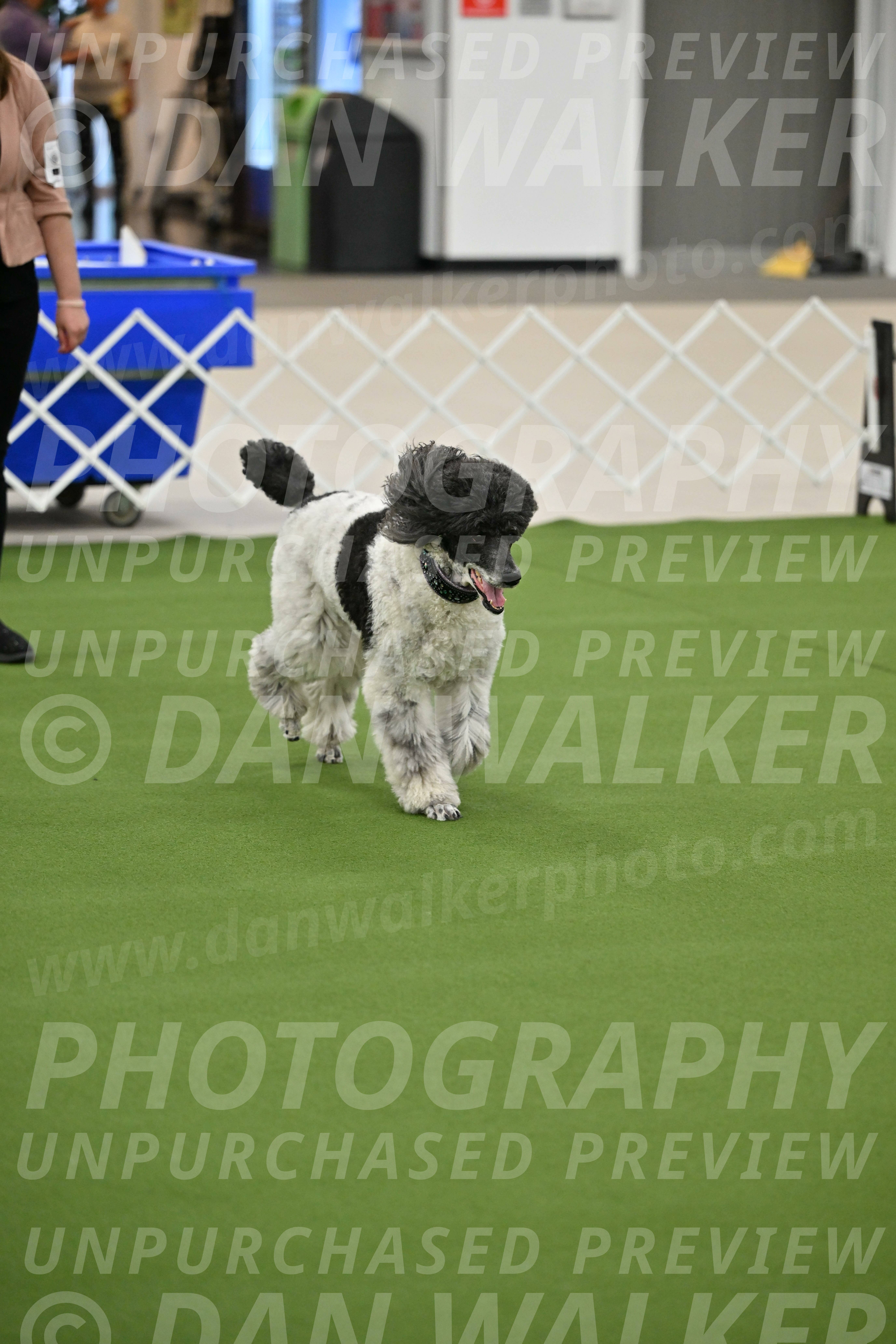 Ring-1-Morning-Obedience_0836