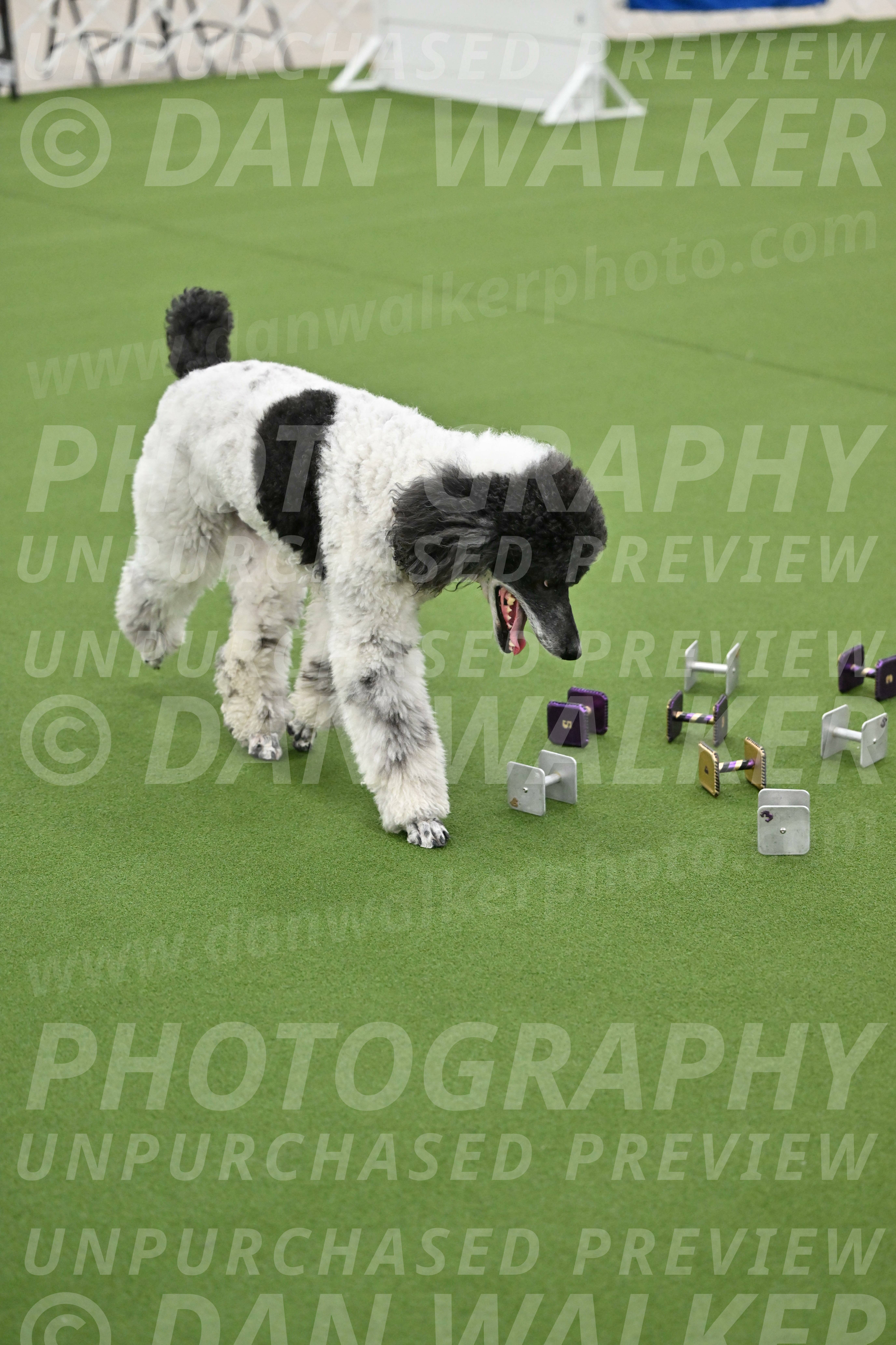 Ring-1-Morning-Obedience_0838