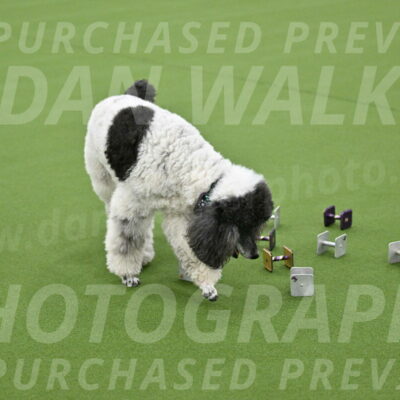 Ring-1-Morning-Obedience_0840