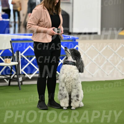 Ring-1-Morning-Obedience_0845