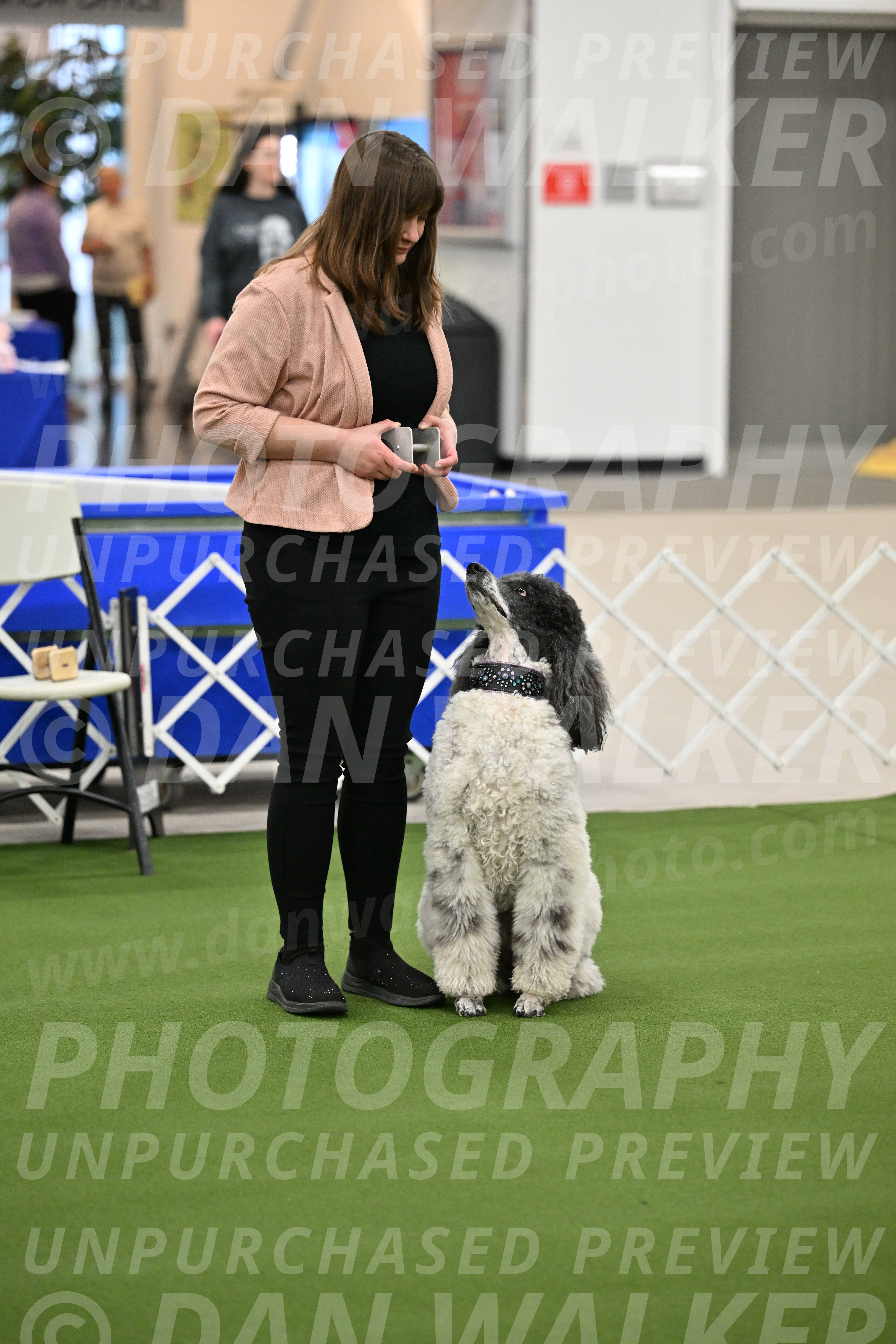 Ring-1-Morning-Obedience_0845