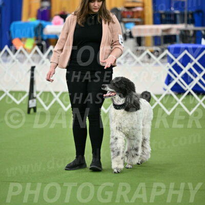 Ring-1-Morning-Obedience_0872