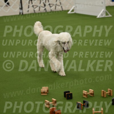 Ring-1-Morning-Obedience_0918