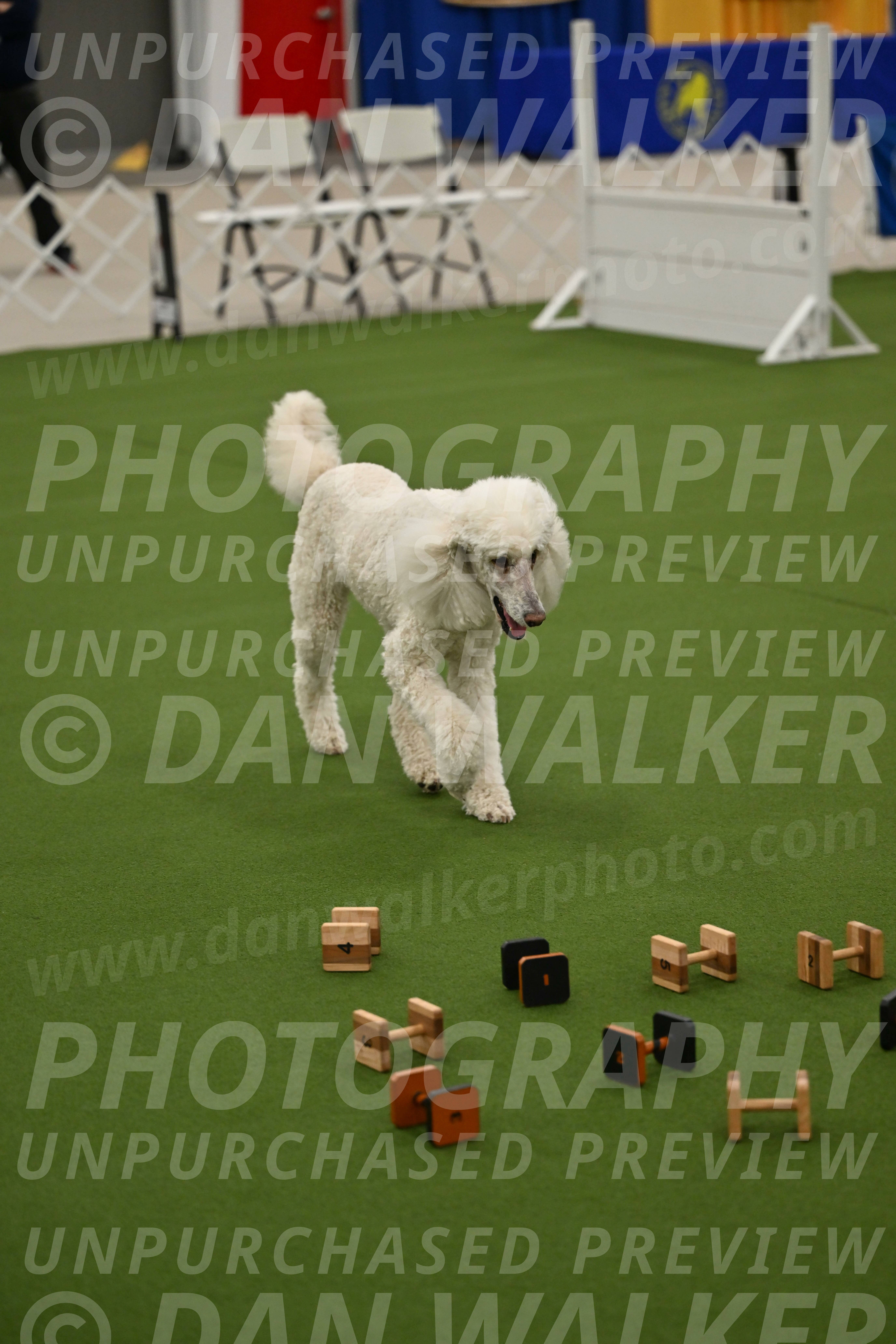 Ring-1-Morning-Obedience_0918