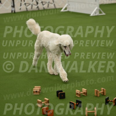 Ring-1-Morning-Obedience_0919