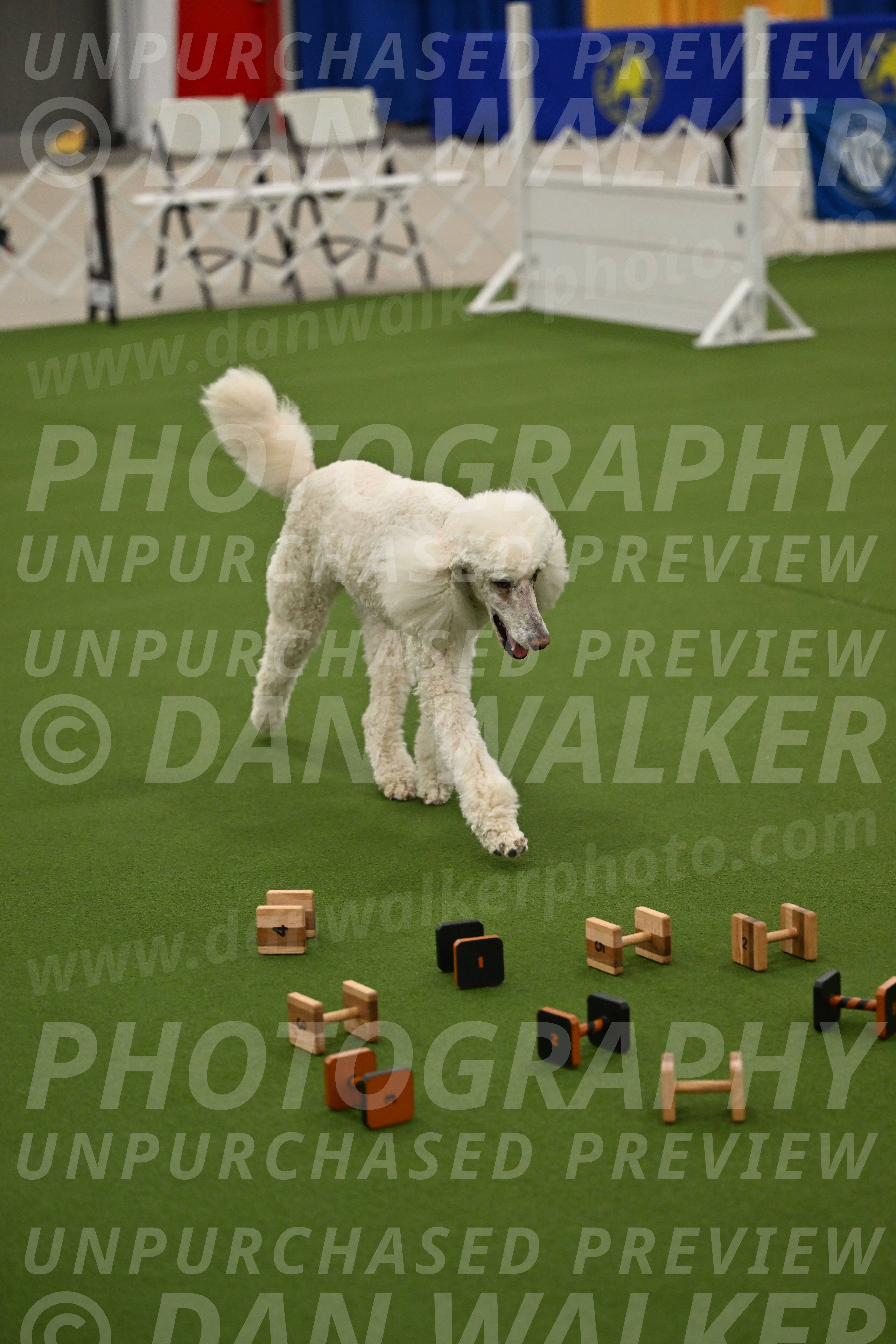 Ring-1-Morning-Obedience_0919