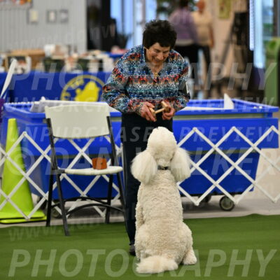 Ring-1-Morning-Obedience_0923