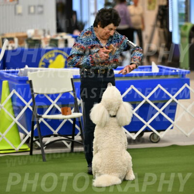 Ring-1-Morning-Obedience_0924