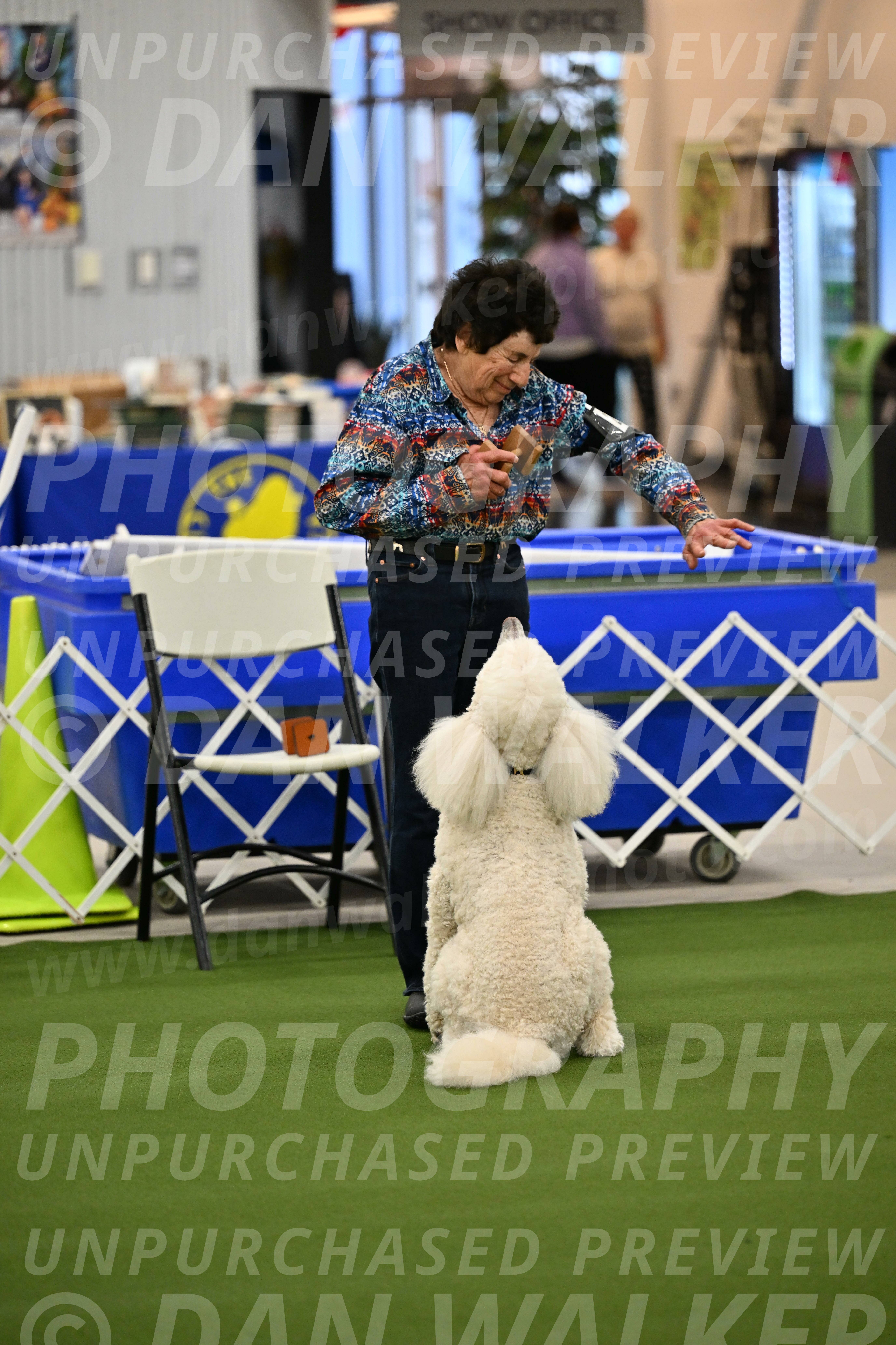 Ring-1-Morning-Obedience_0925