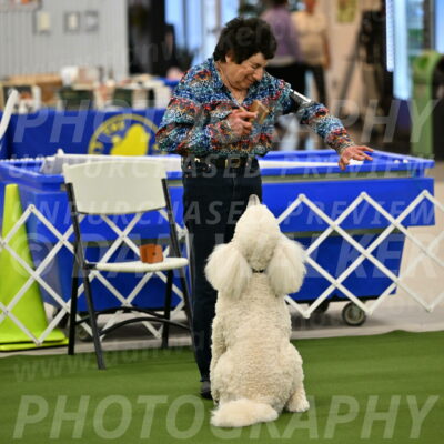 Ring-1-Morning-Obedience_0925