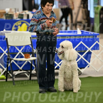 Ring-1-Morning-Obedience_0927