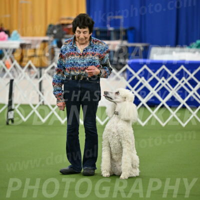 Ring-1-Morning-Obedience_0941