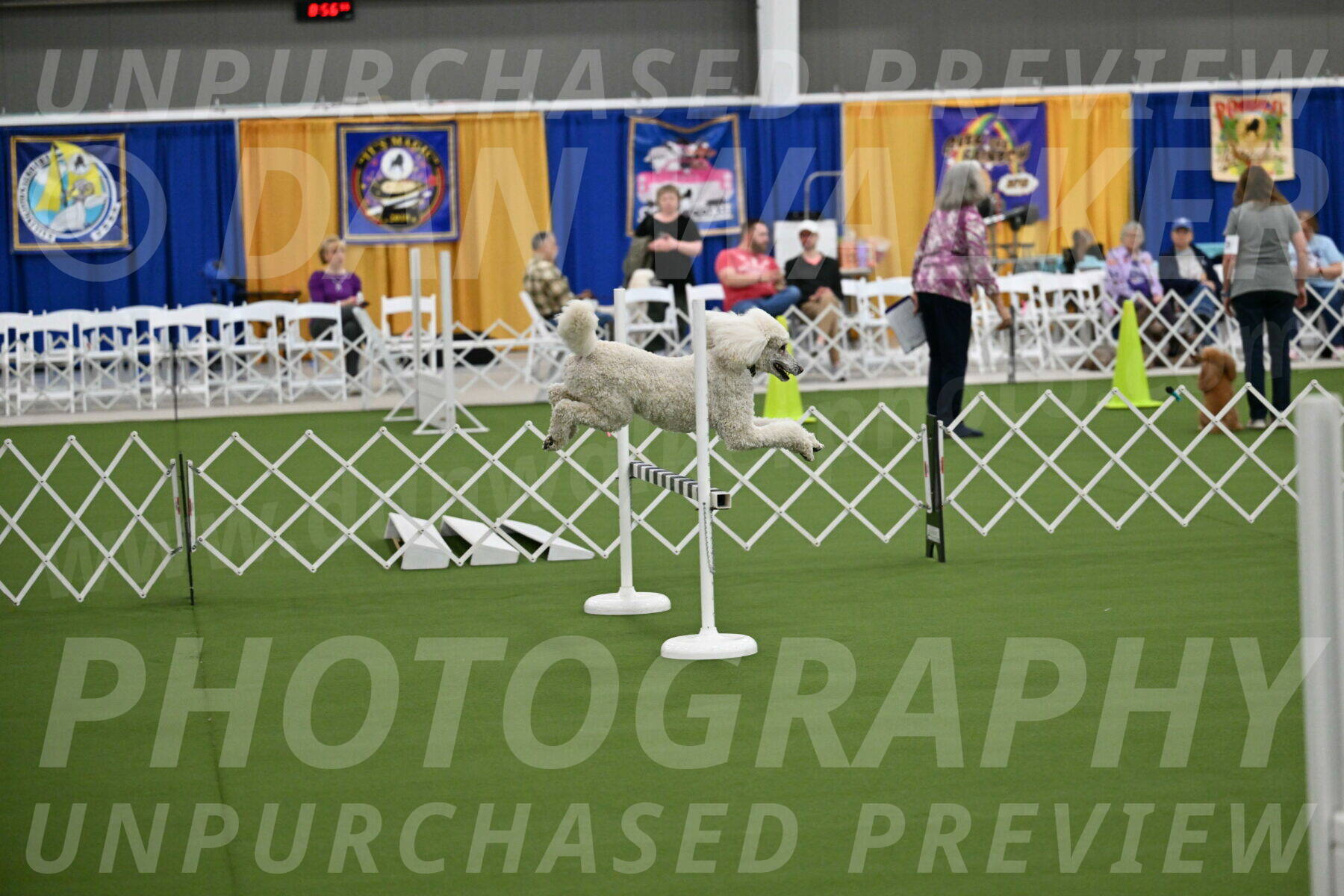 Ring-1-Morning-Obedience_0944