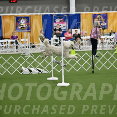 Ring-1-Morning-Obedience_0944