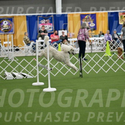 Ring-1-Morning-Obedience_0945