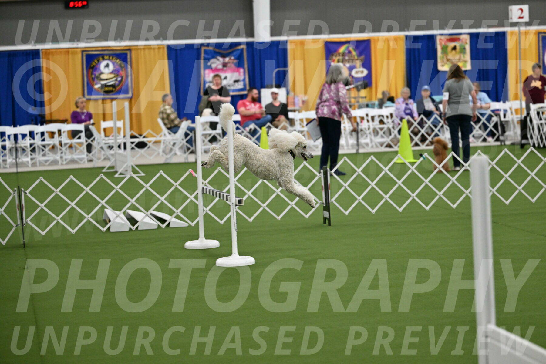 Ring-1-Morning-Obedience_0945