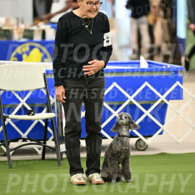 Ring-1-Morning-Obedience_0946