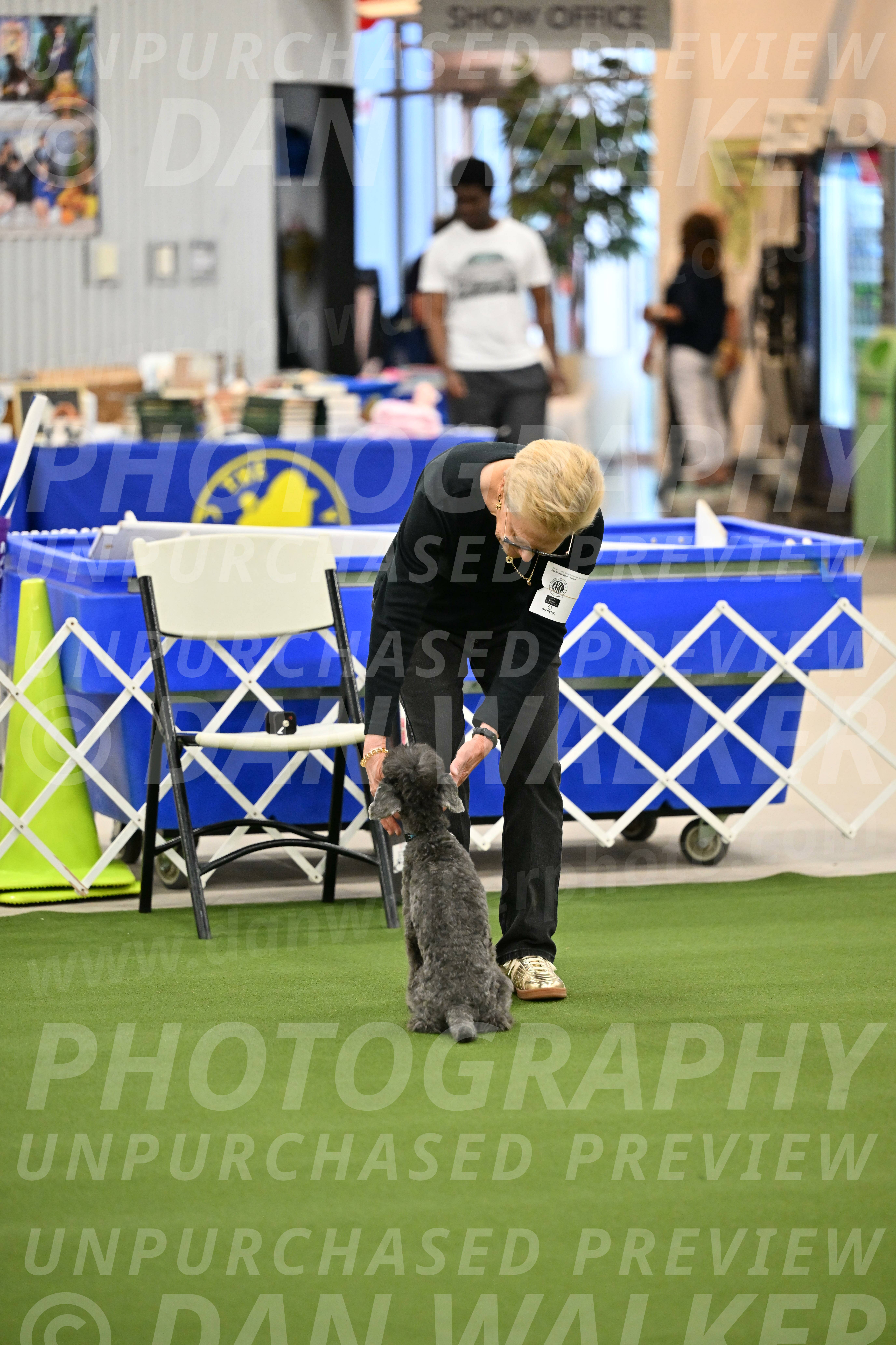 Ring-1-Morning-Obedience_0951