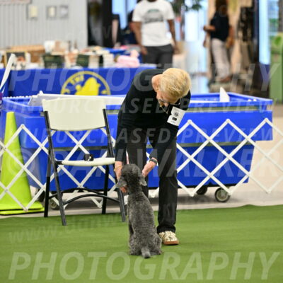 Ring-1-Morning-Obedience_0951