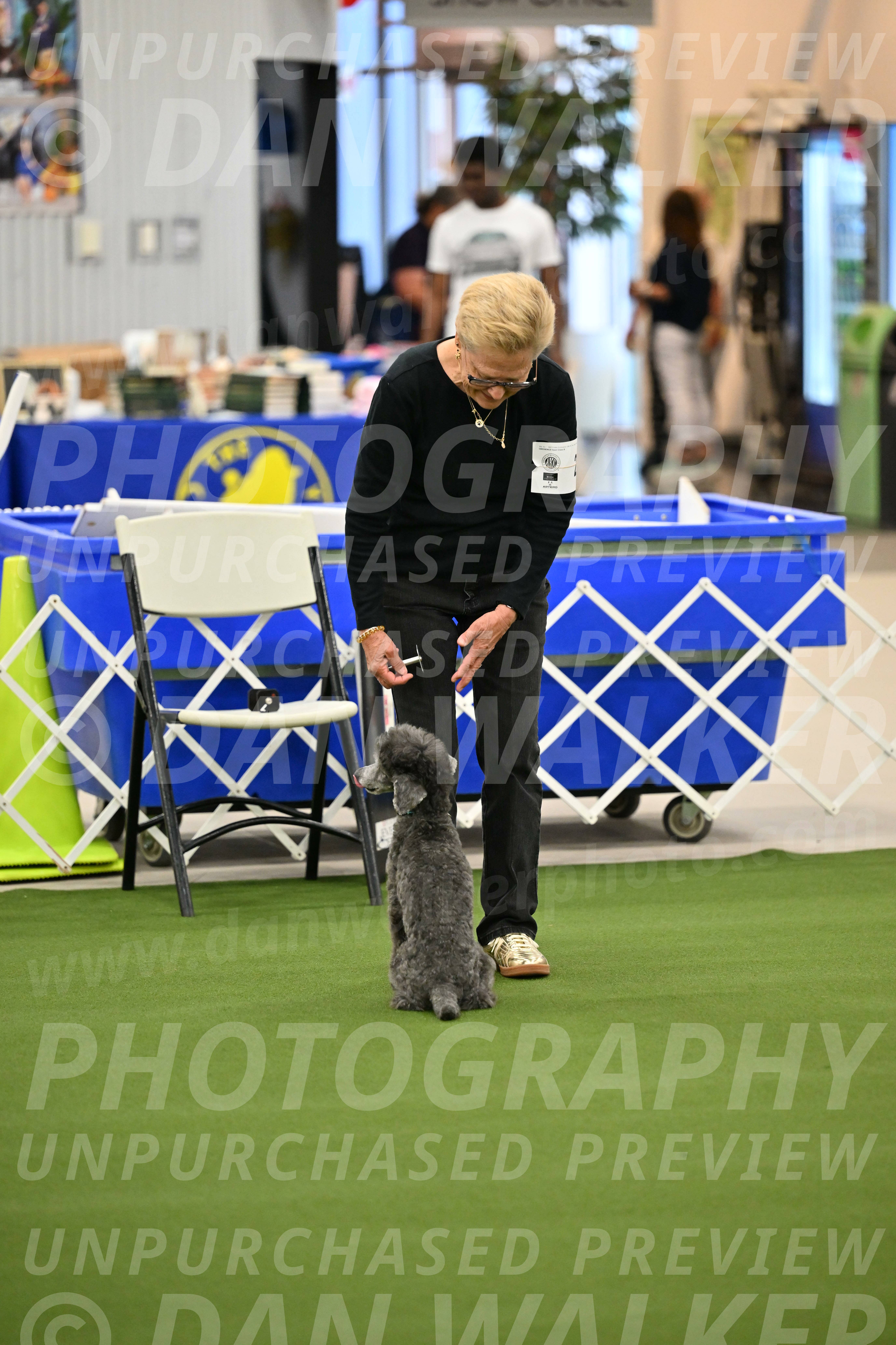 Ring-1-Morning-Obedience_0953