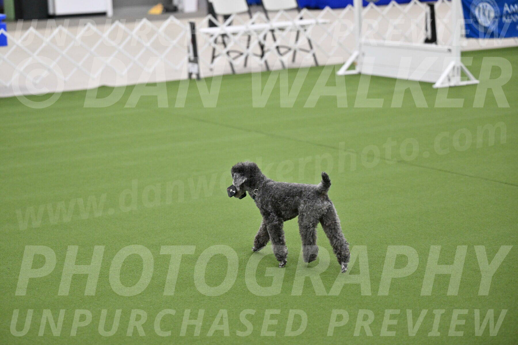 Ring-1-Morning-Obedience_0960