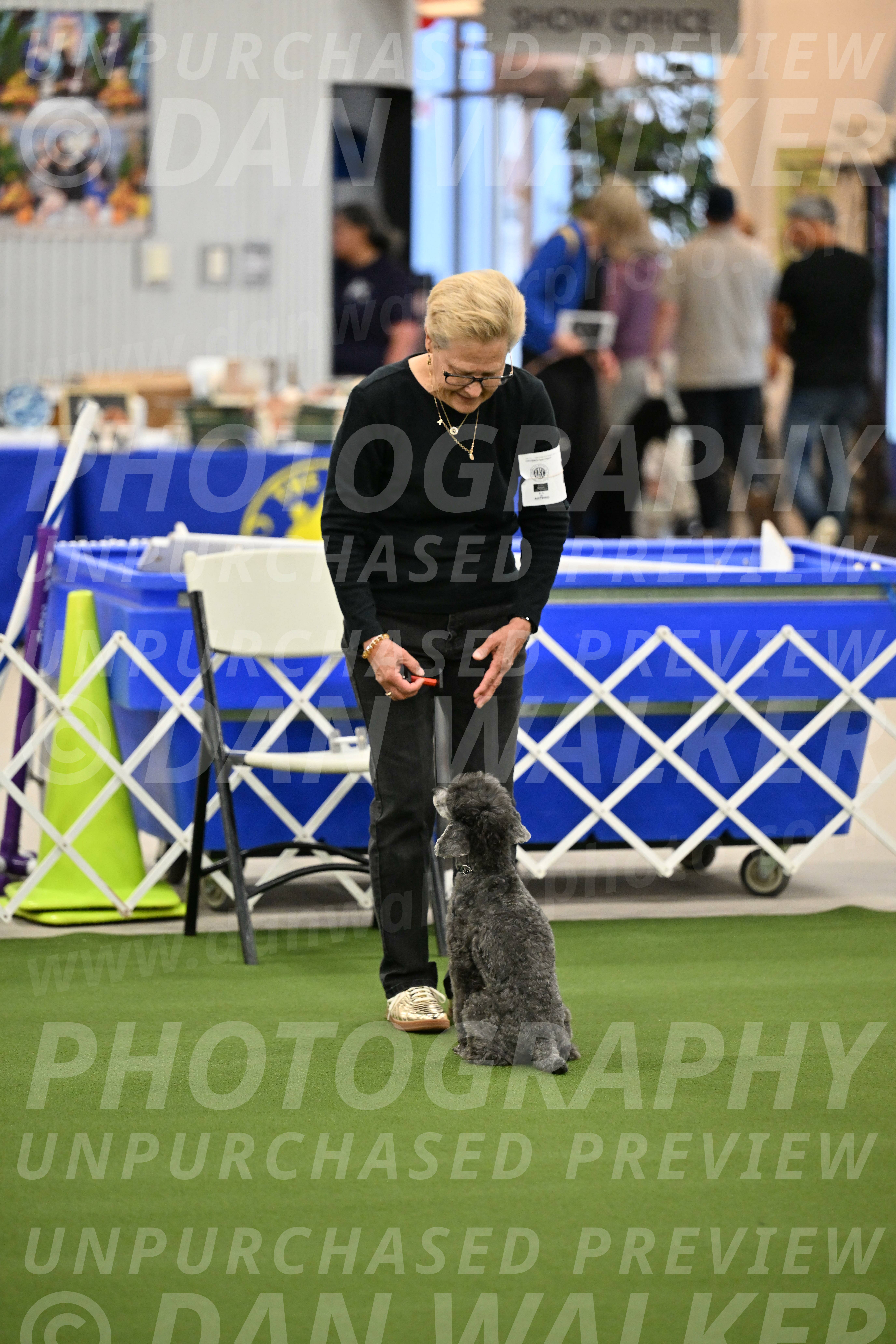 Ring-1-Morning-Obedience_0961