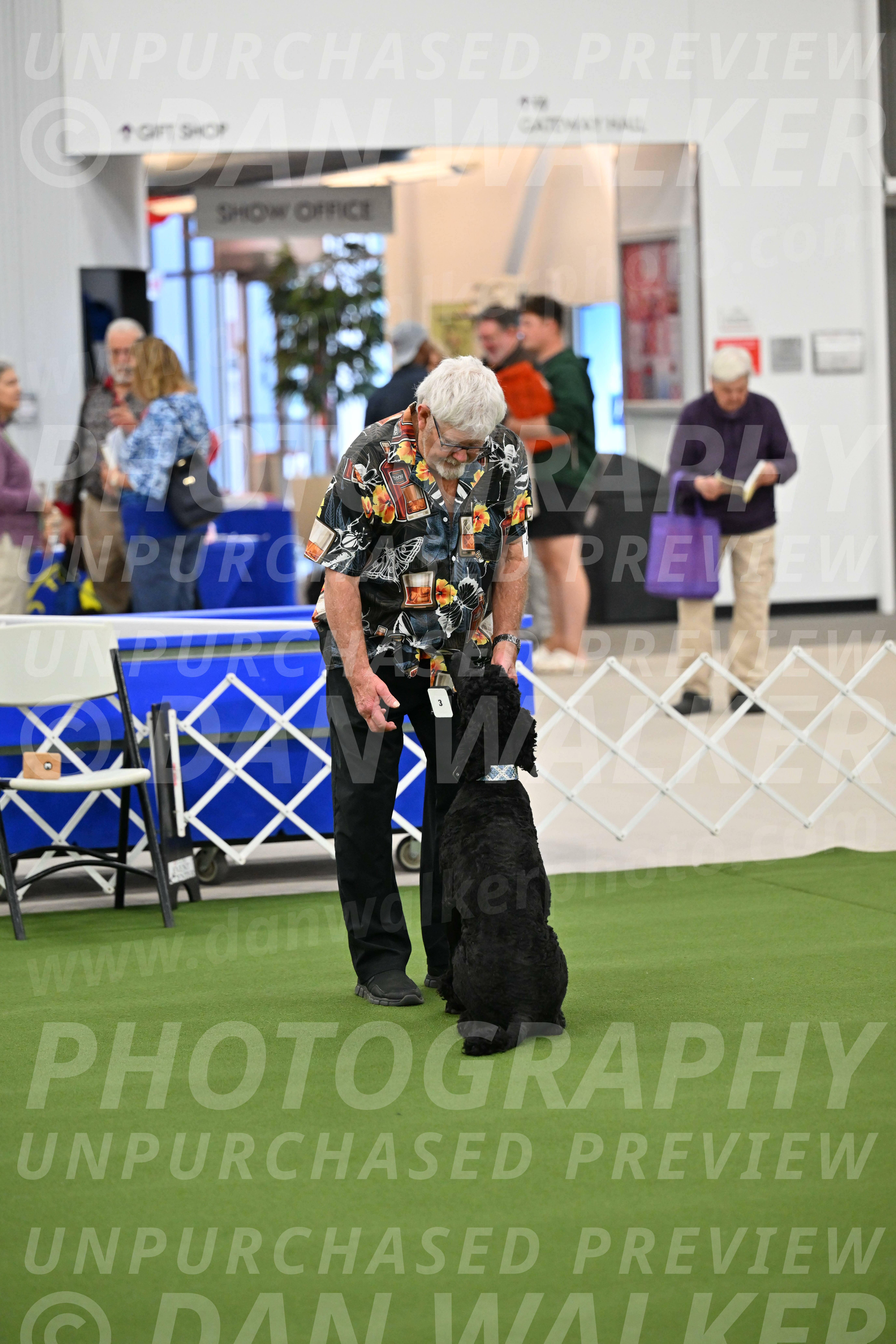 Ring-1-Morning-Obedience_1032