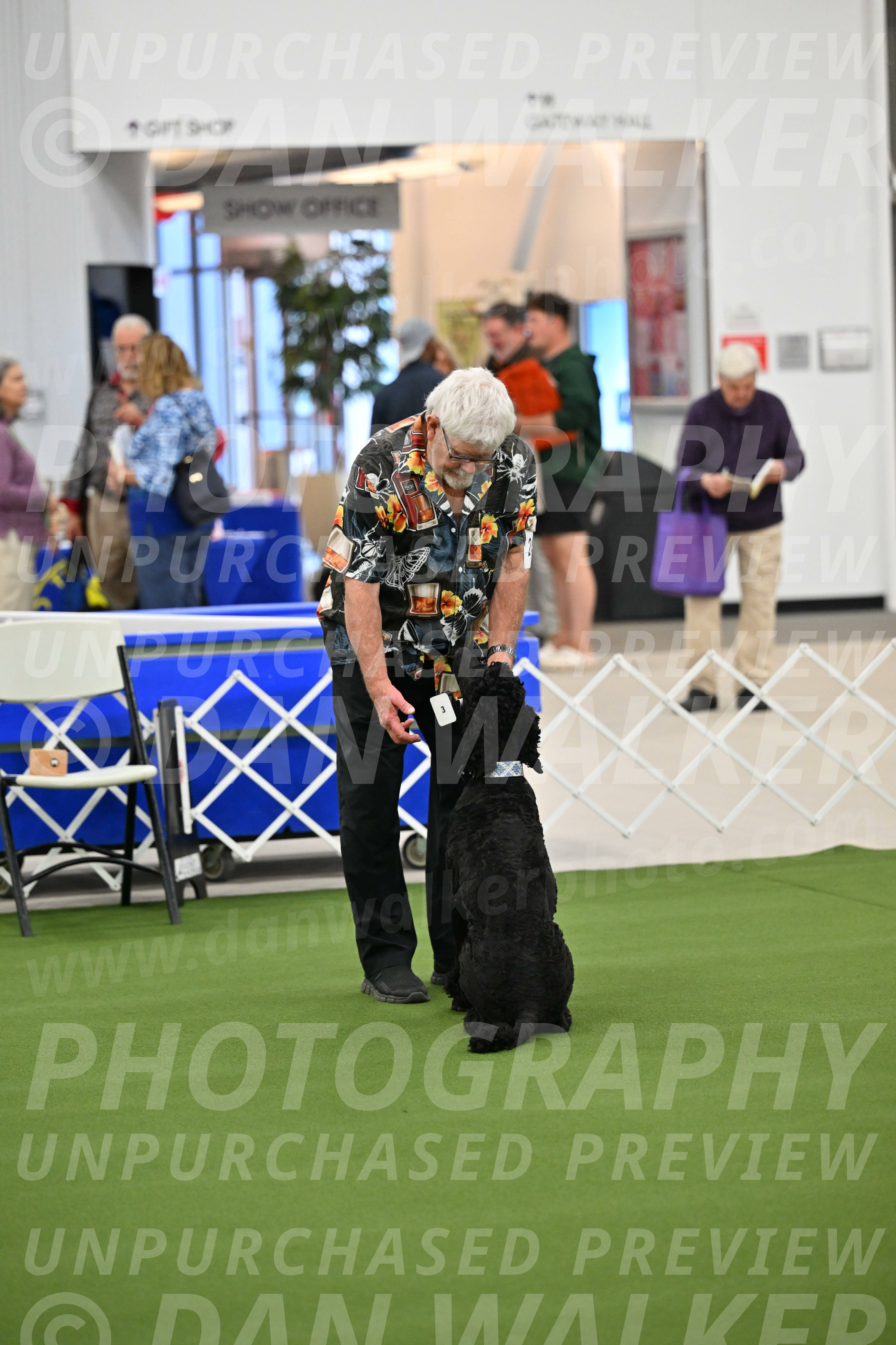 Ring-1-Morning-Obedience_1033