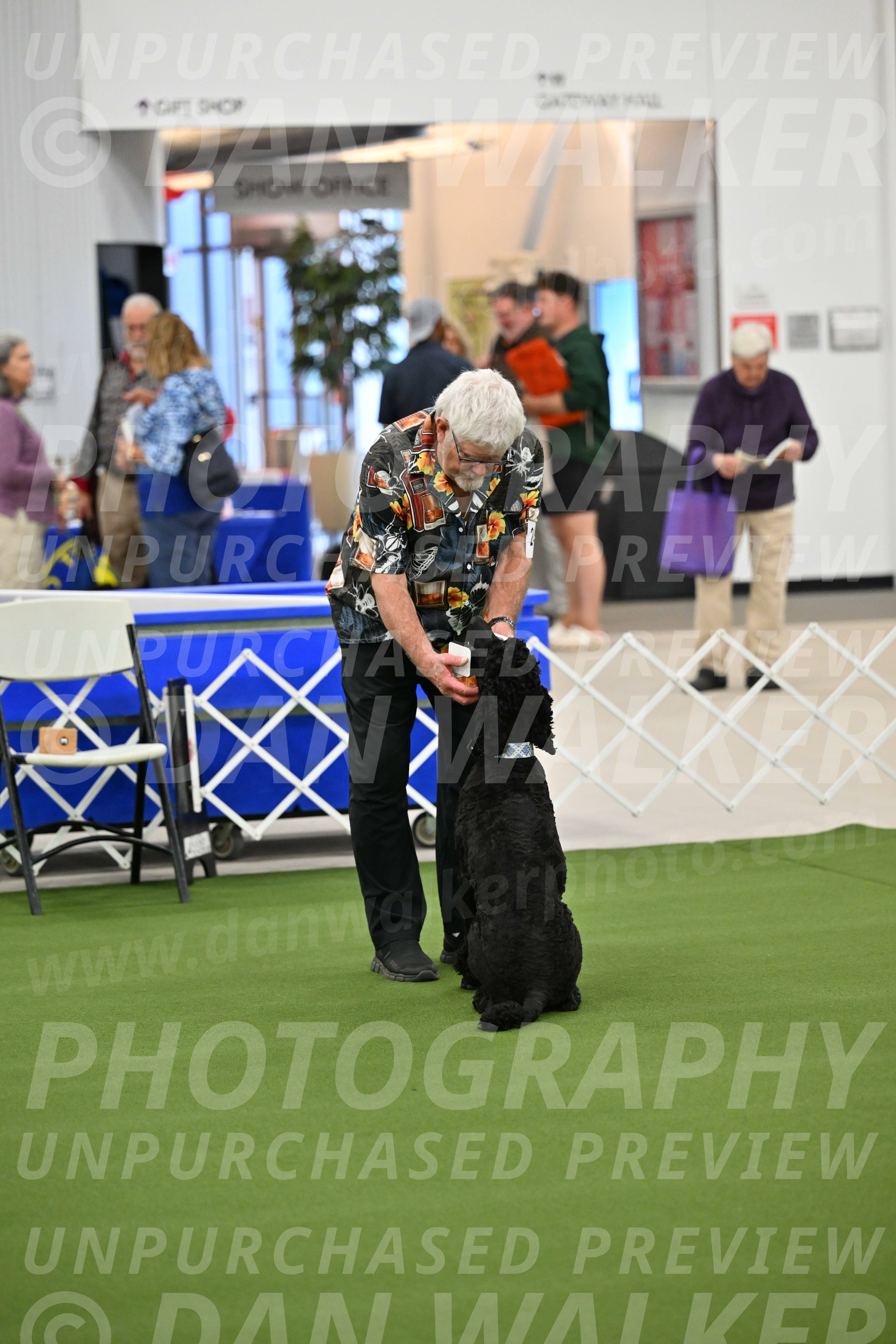 Ring-1-Morning-Obedience_1034