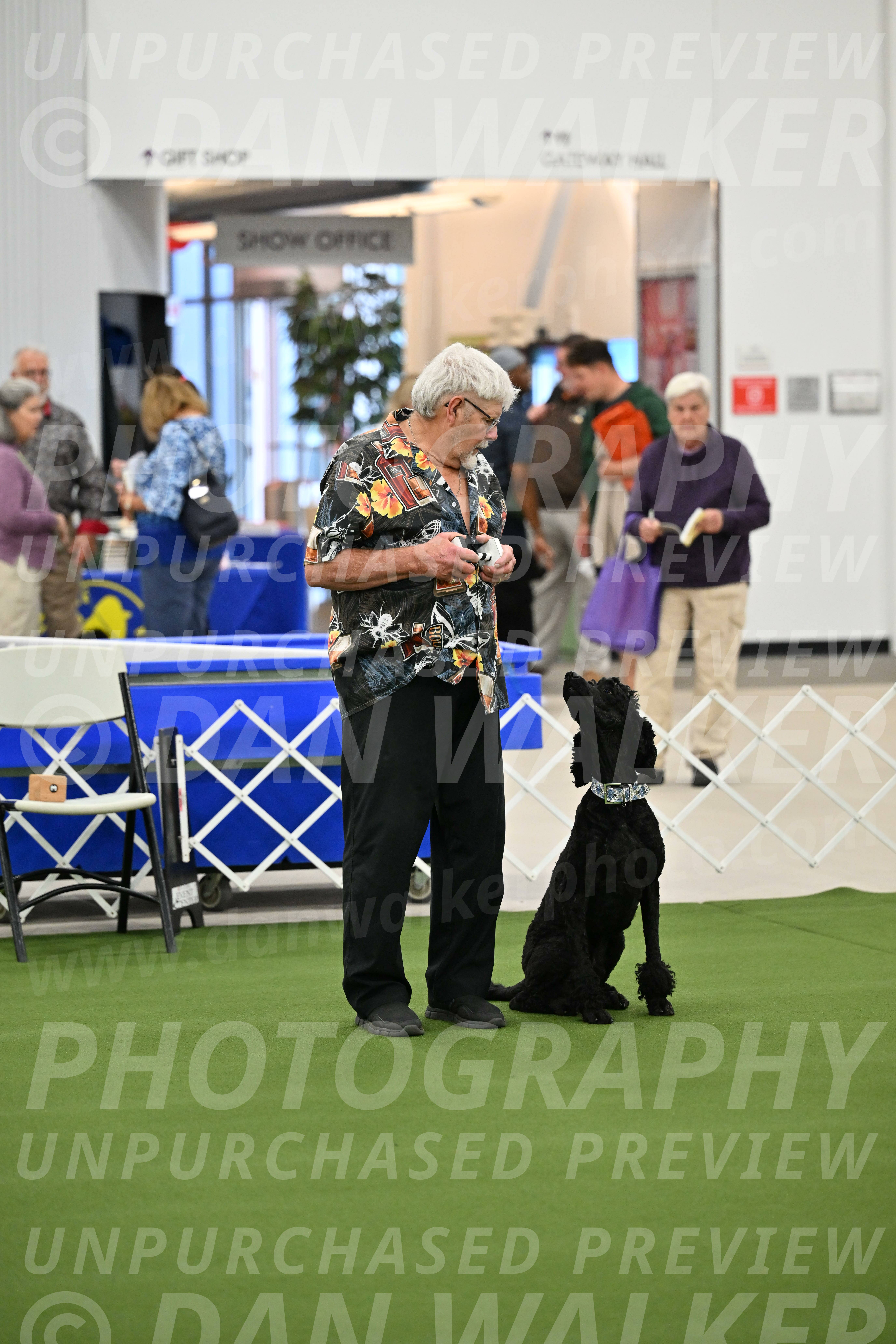 Ring-1-Morning-Obedience_1041