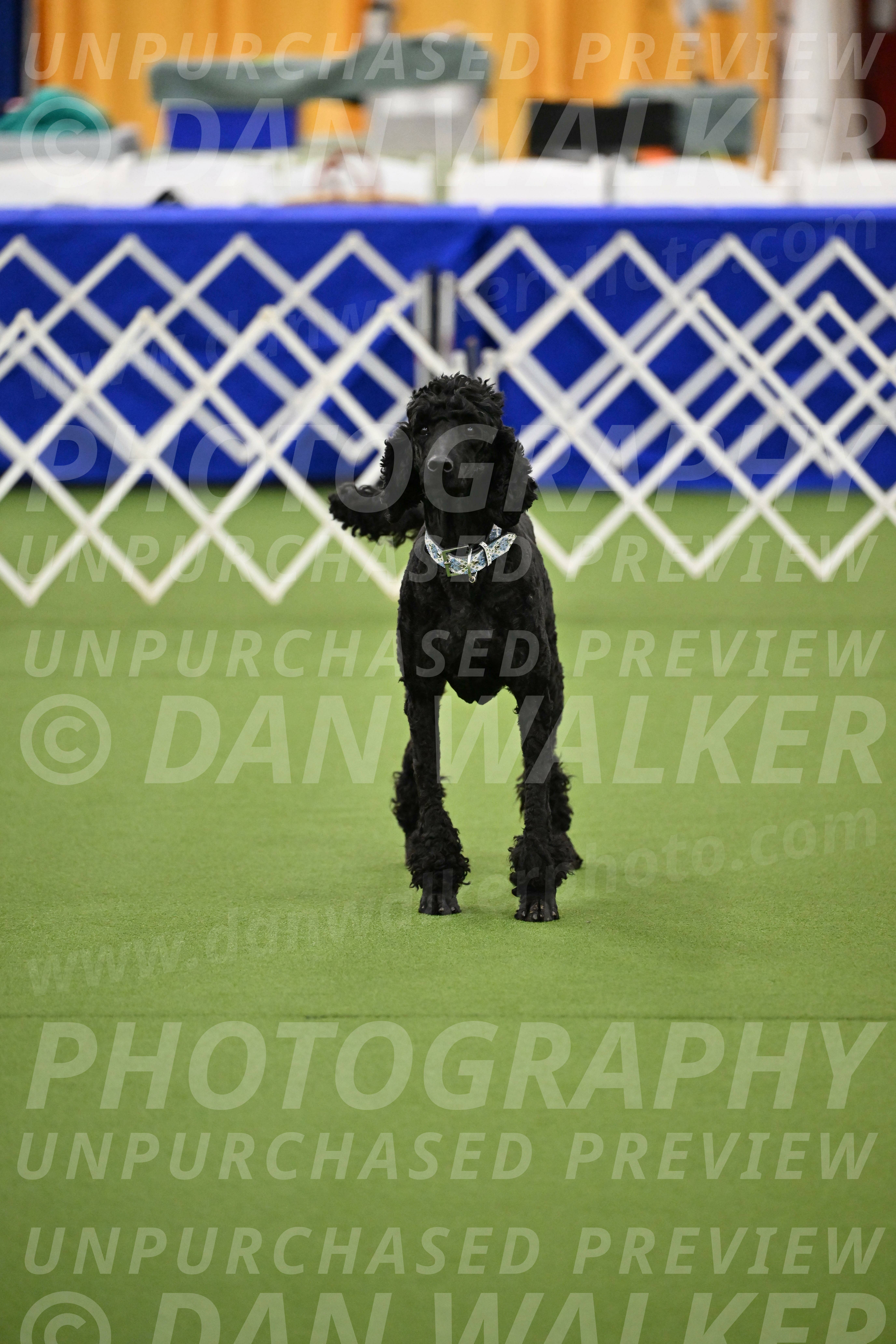 Ring-1-Morning-Obedience_1054