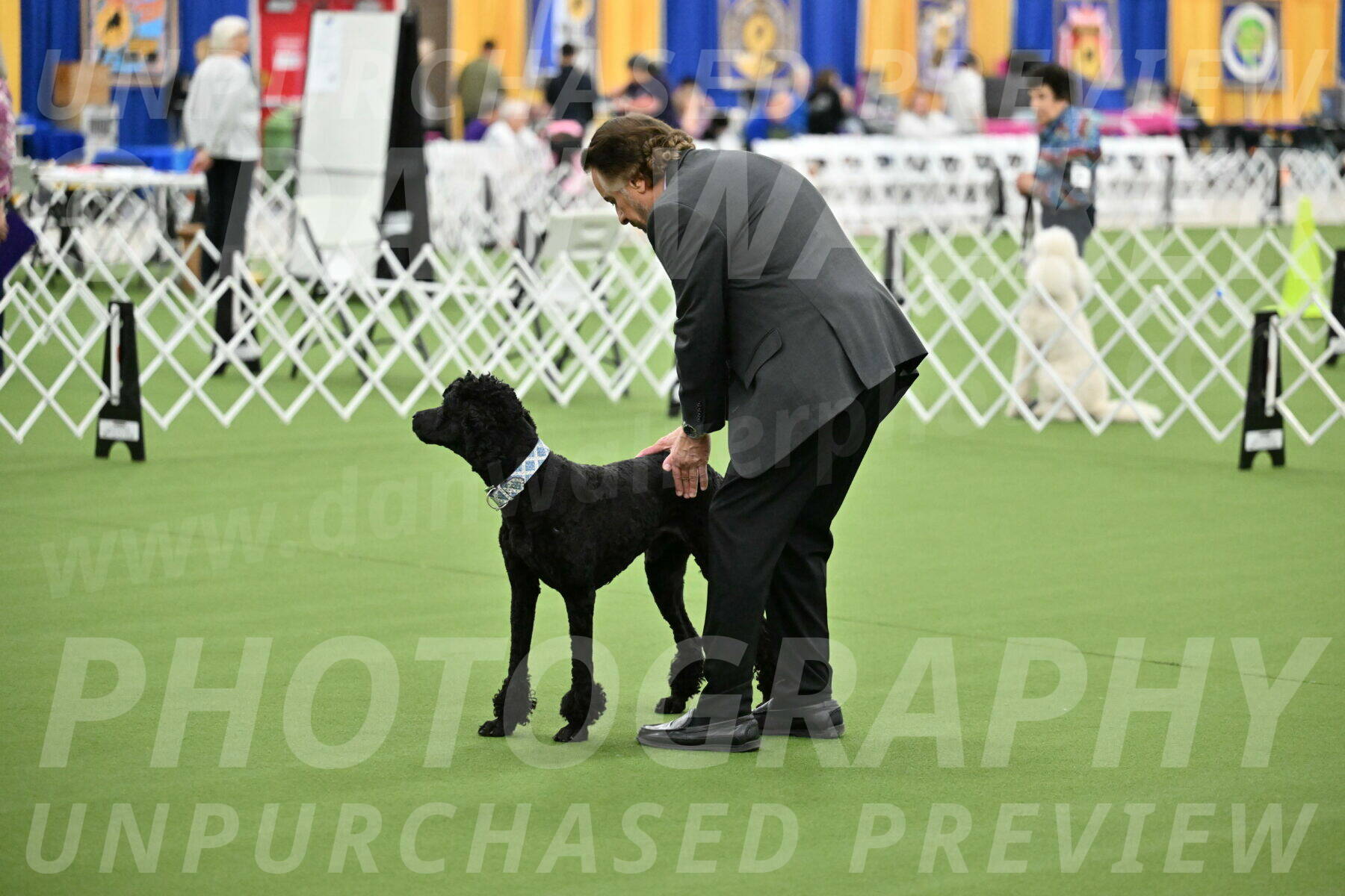 Ring-1-Morning-Obedience_1061