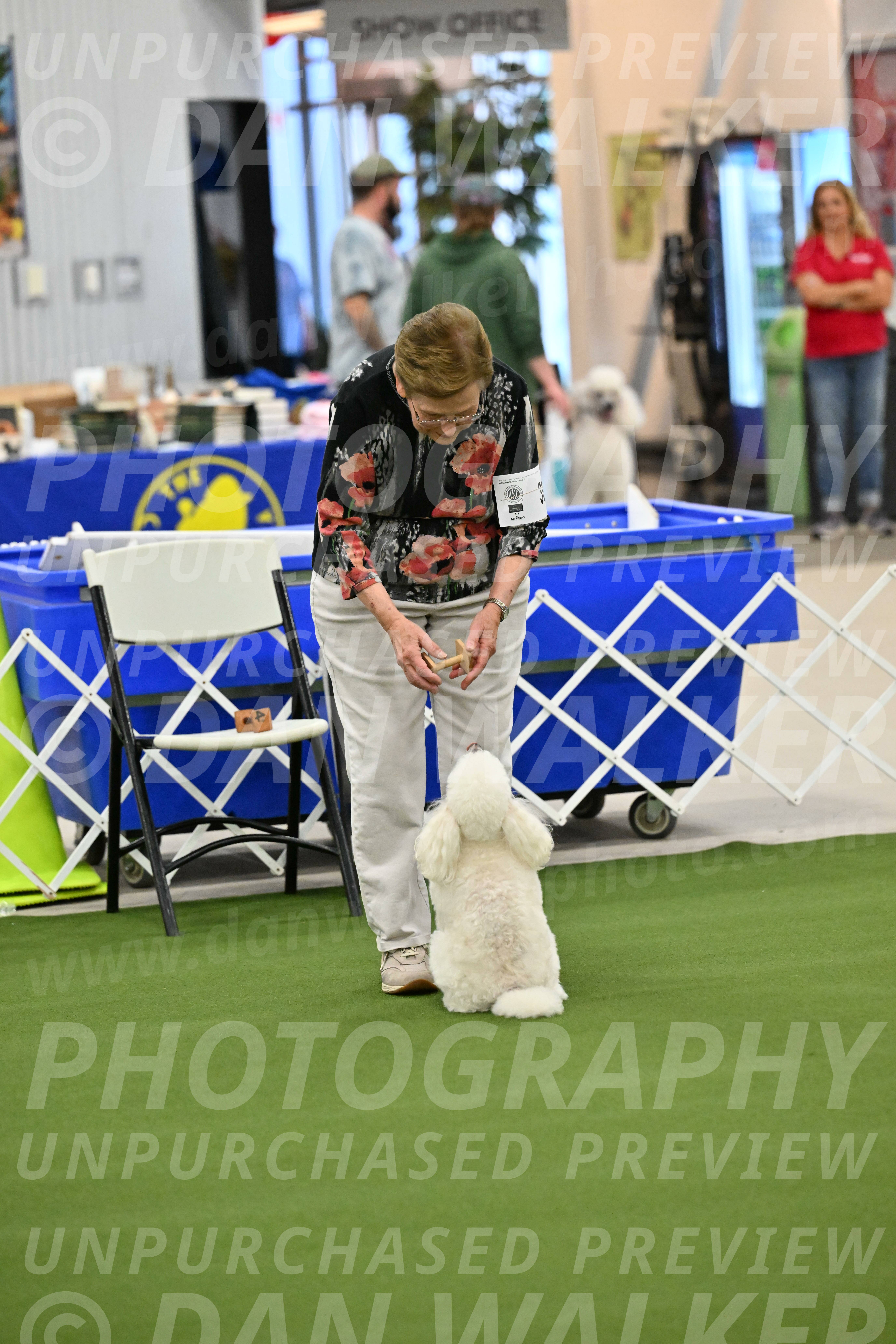 Ring-1-Morning-Obedience_1219