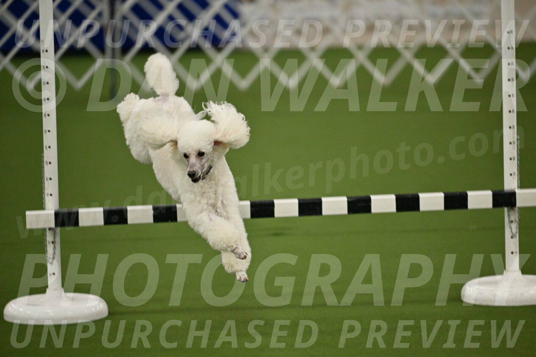 Ring-1-Morning-Obedience_1243