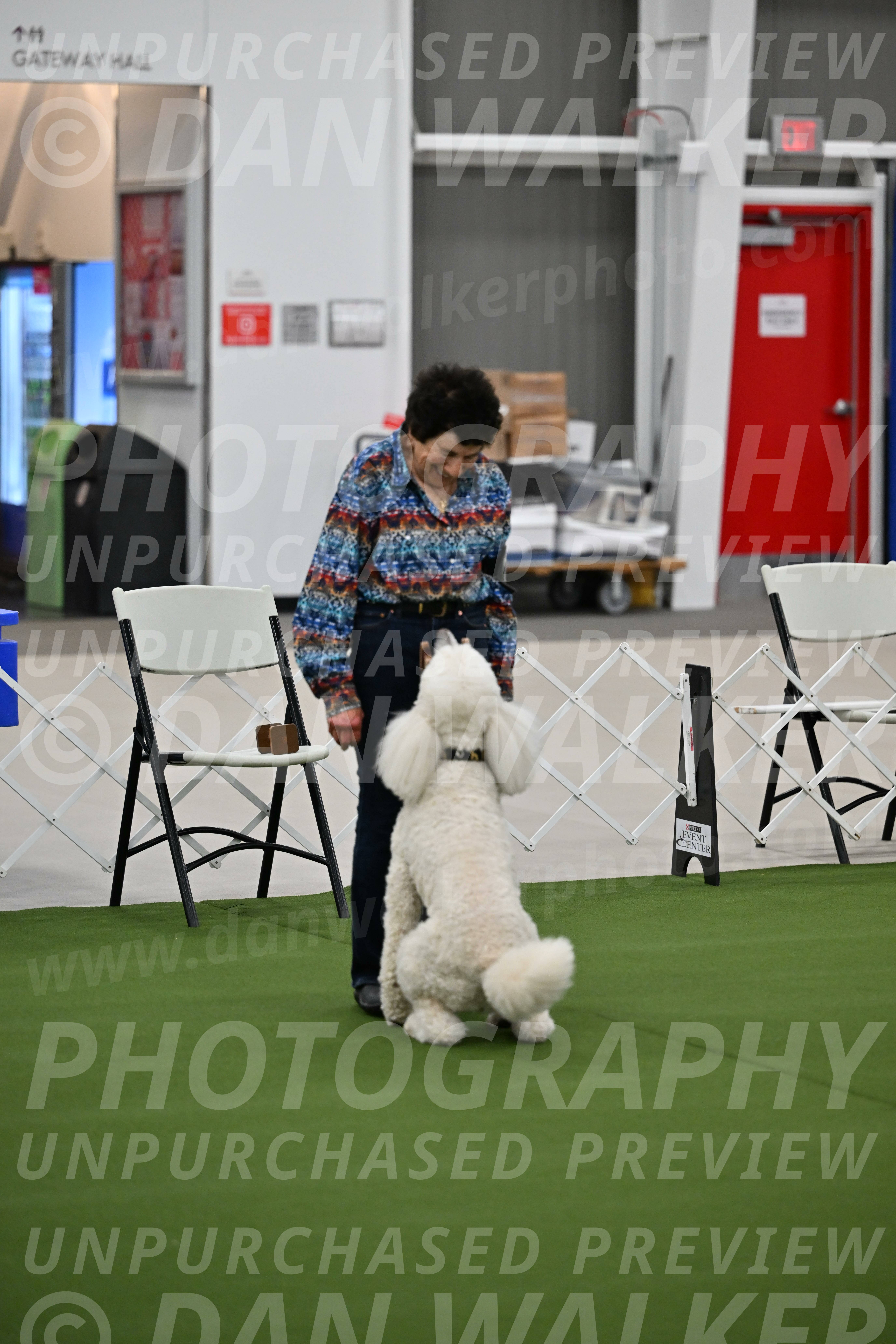 Ring-1-Morning-Obedience_1901