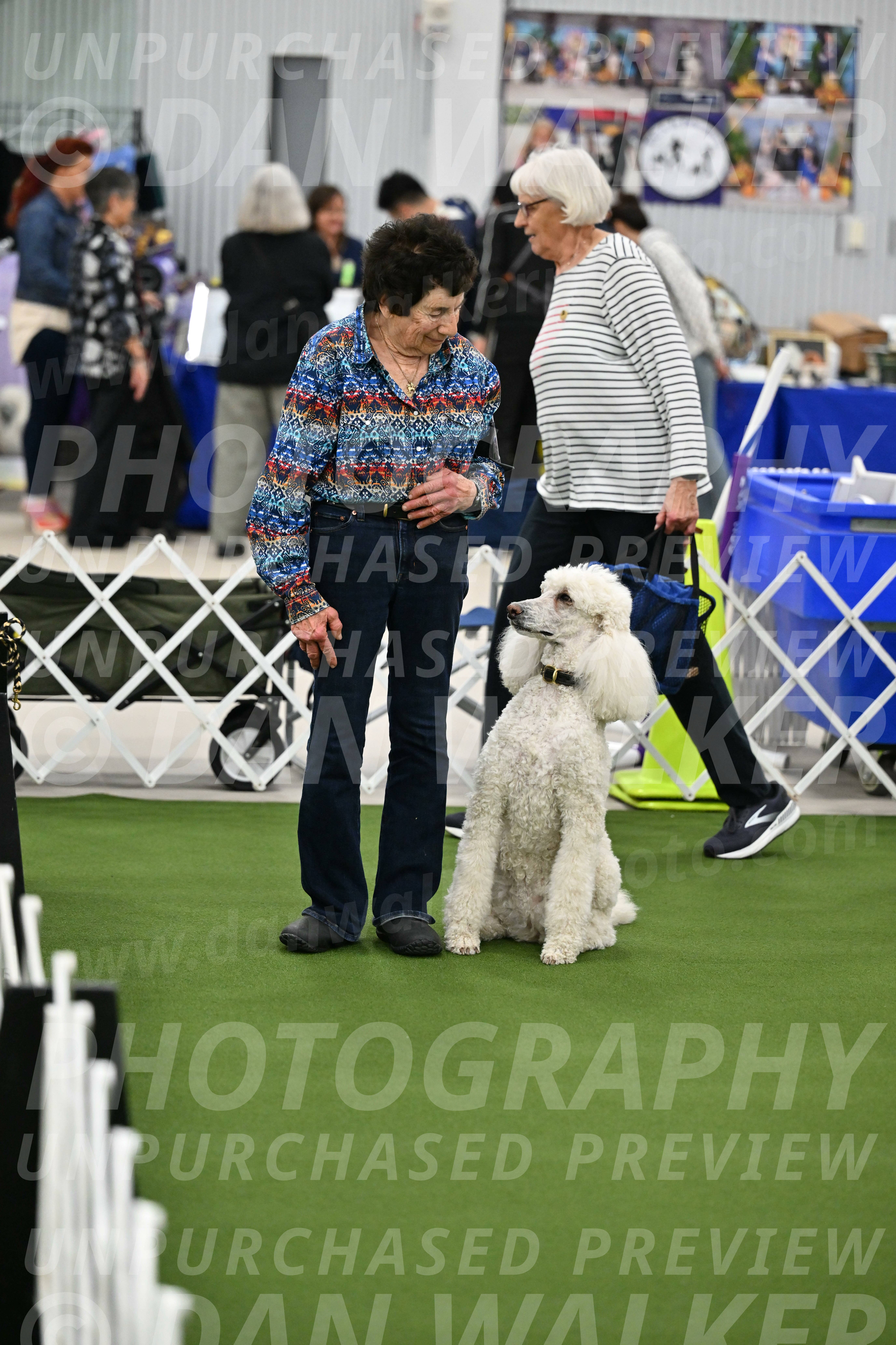 Ring-1-Morning-Obedience_1916