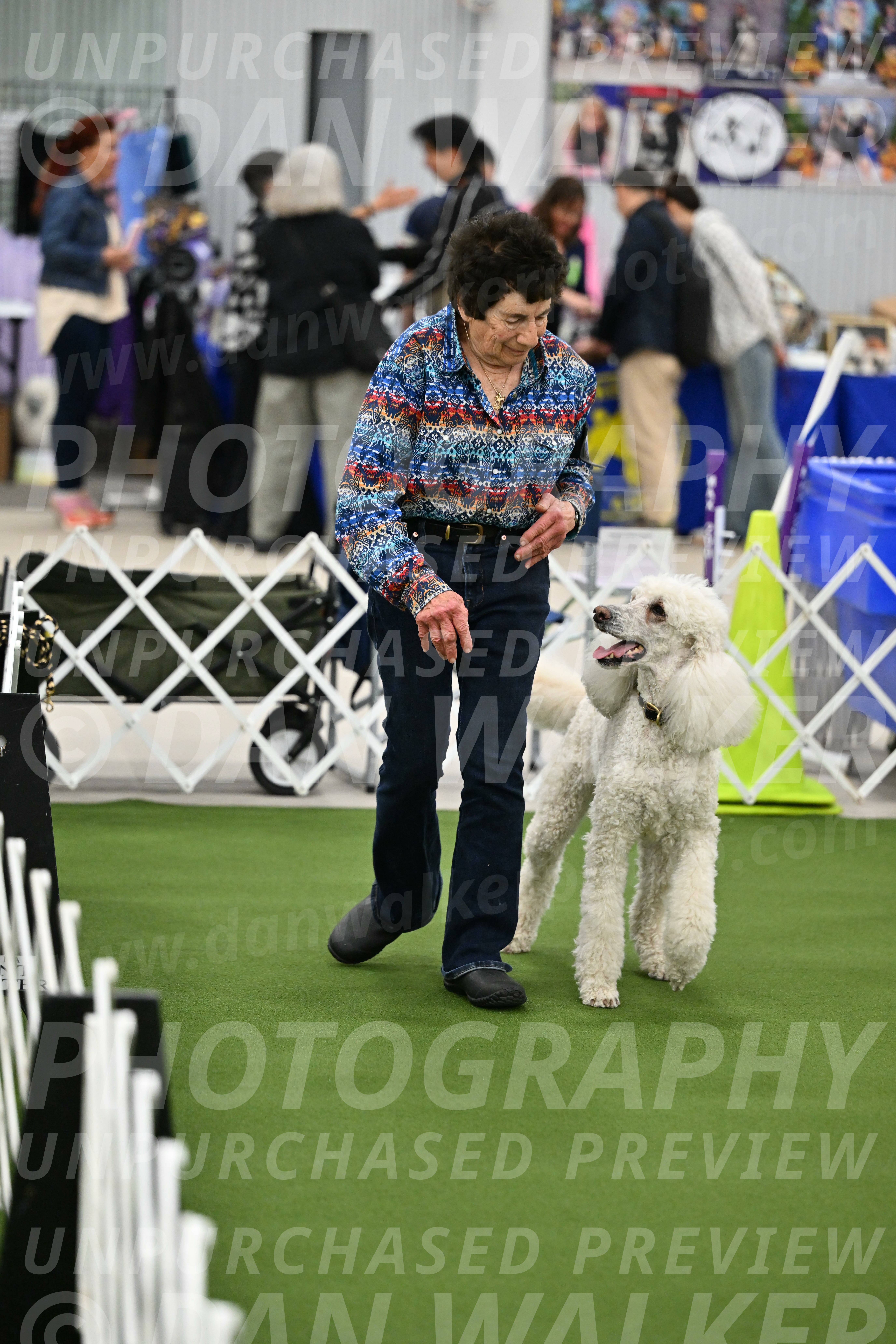 Ring-1-Morning-Obedience_1918