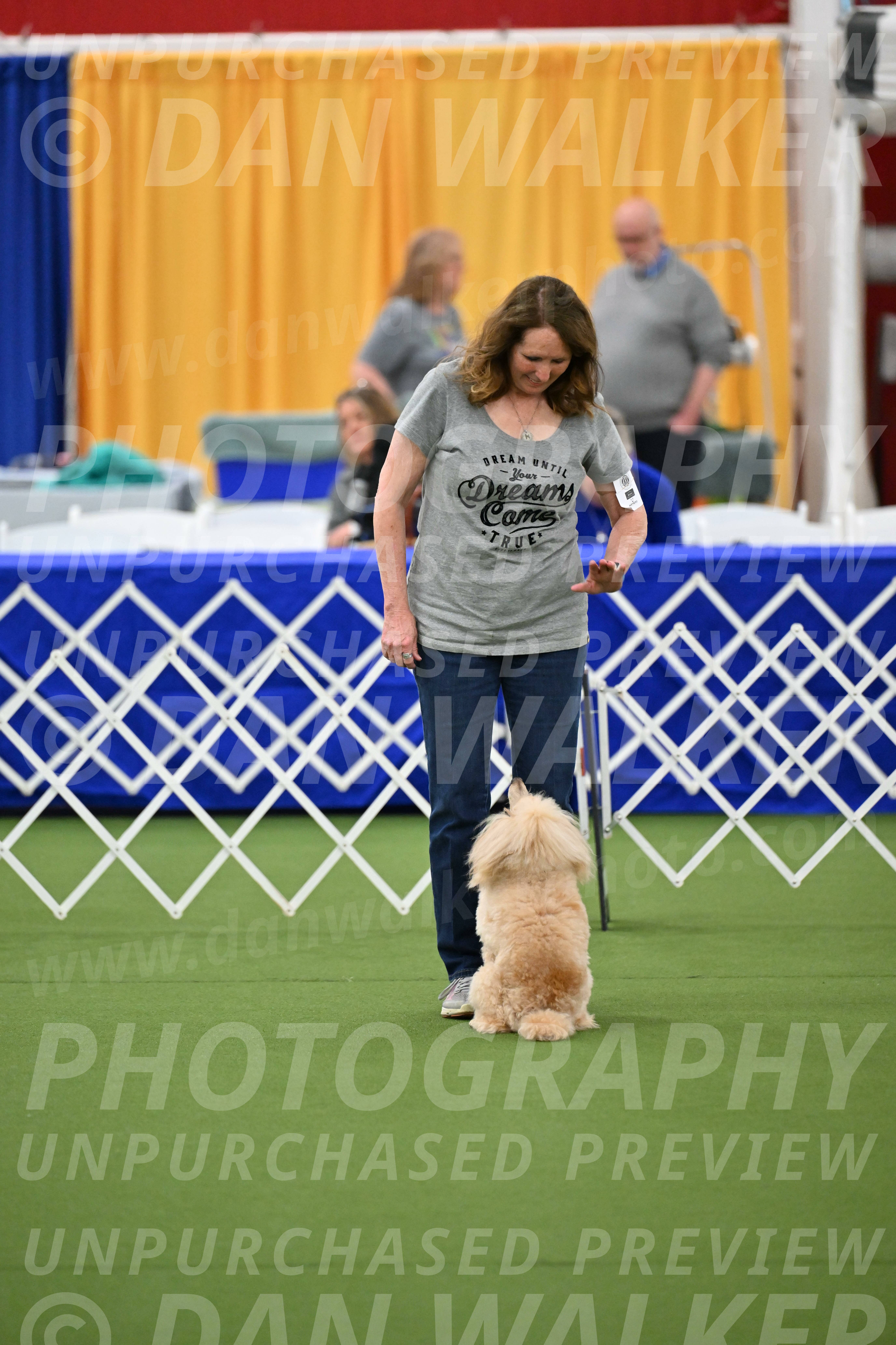 Ring-1-Morning-Obedience_1977